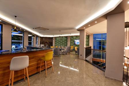 PARKIM AYAZ HOTEL Bars